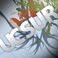 UCSUR